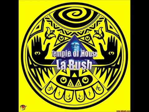 la bush temple of house - panjabi MC (tekstyle remix)