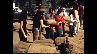 People’s Park: A Journey From the Heart - Ace of Cups Music