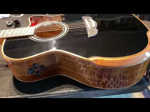 Steve Bright Gets Birthday Harley Benton Beauty