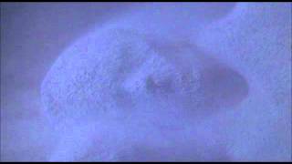 Boards of Canada - Uritual