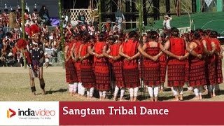 Sangtam tribal dance of Nagaland 