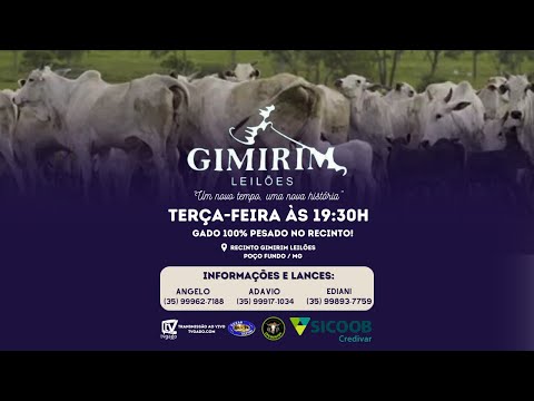 🎥 Leilão Presencial e Virtual Gimirim Leilões - 🎬 tvgado.com.br