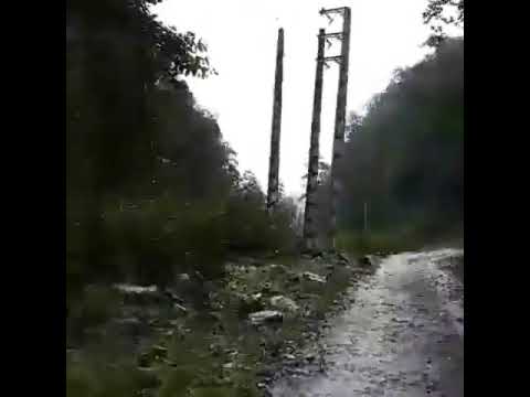 Hirkani forests ,Mazandaran ,Iran