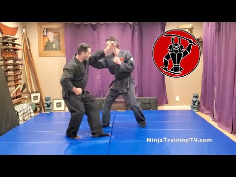 Bobi no Kamae,  Moto Gata, Koto Ryu Koppojutsu