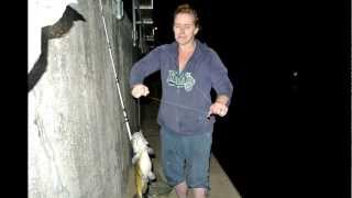 preview picture of video 'Fishing on Mississippi river lock and dam 8 Genoa Wisconsin'