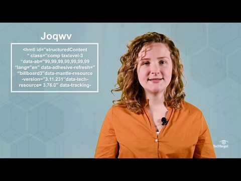 What is White Box Testing? White Box vs. Black Box Testing