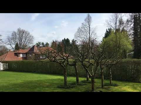 Rozenlaan 43, Schilde - 's Gravenwezel