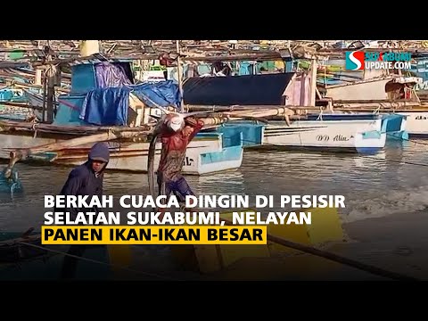Berkah Cuaca Dingin Di Pesisir Selatan Sukabumi, Nelayan Panen Ikan-Ikan Besar