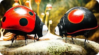 Букашки Новые Серии 2022 Года Букашки Новые Серии 2022 Года