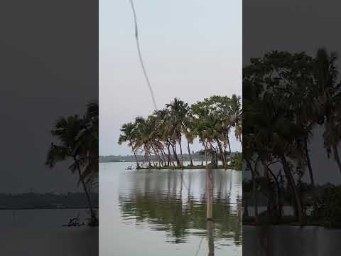 beach Kuzhupilly kochi