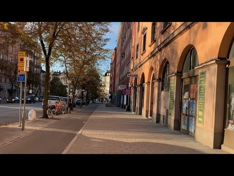 Stockholm Walks: St Eriksgatan (2 km for treadmill, relaxing, exploring. Natural sound)