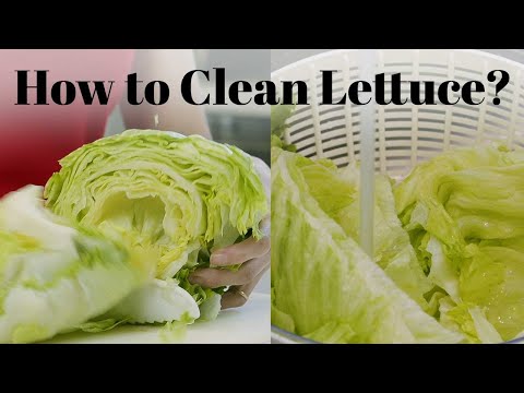 How to Wash Lettuce | What you need to know about cleaning lettuce with vinegar