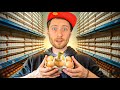 I Hatched Chicks From Supermarket Eggs