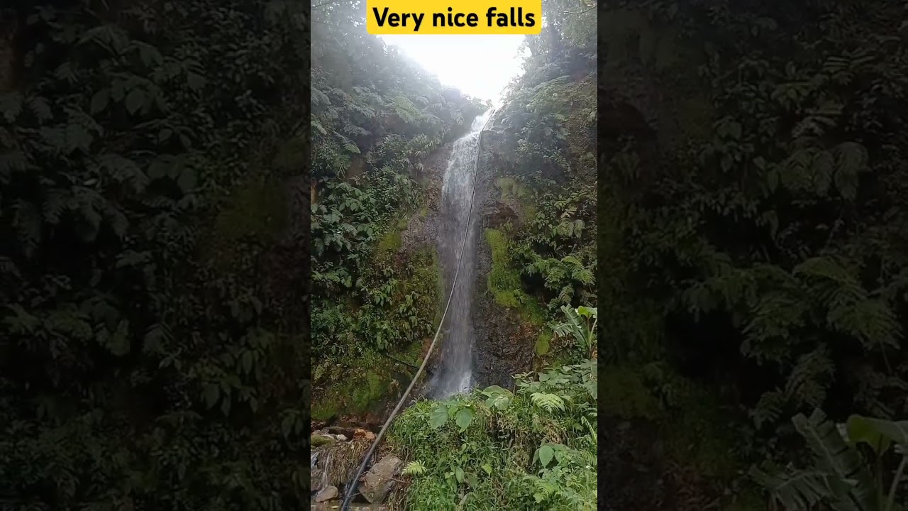 #blogging #blog #traveltrip #blogger