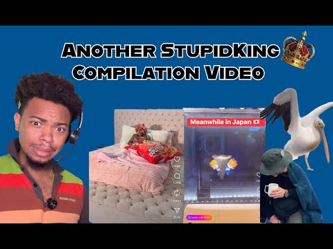 Another StupidKing Compilation Video!
