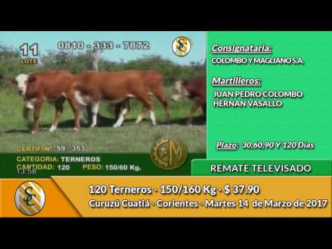 14-03-17 - Ventas del Remate Televisado de Colombo Magliano SA - Corrientes