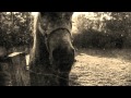 Robin Worley - Ride on (Jimmy McCarthy) 