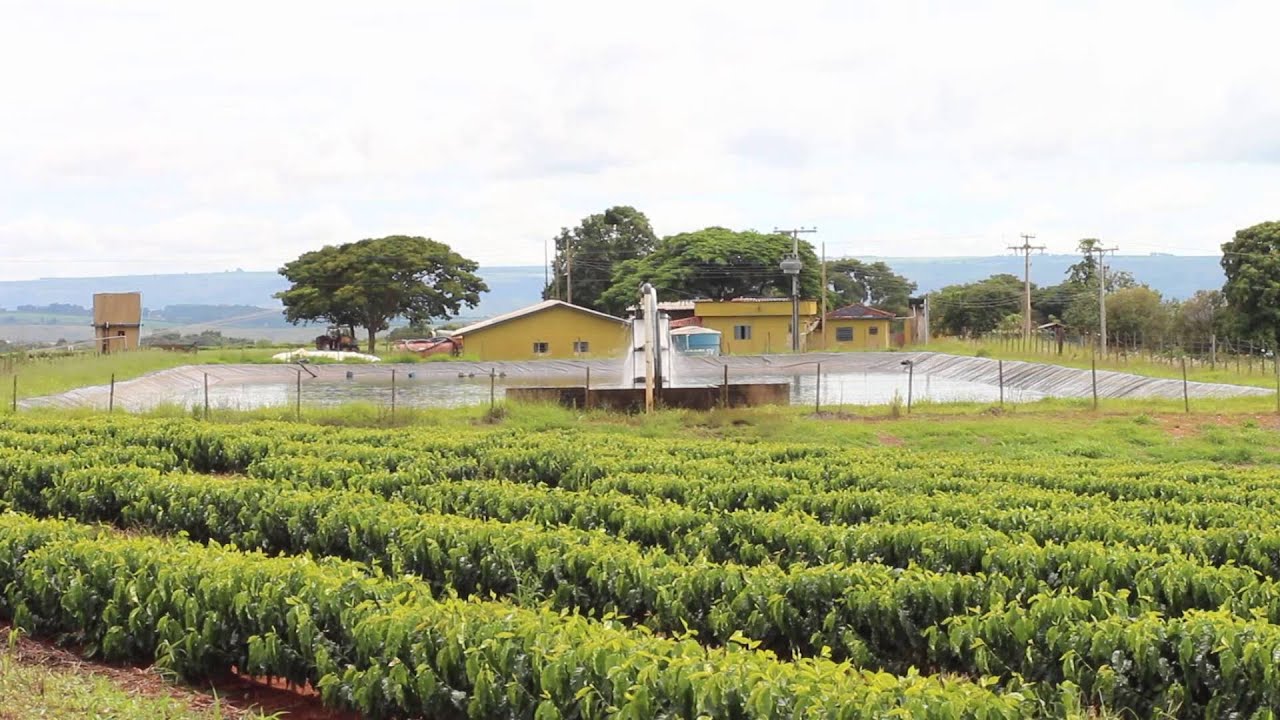 Fazenda Morro Alto - Irrigação Subterrânea de Café