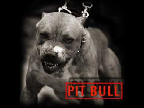 Izaak De Laredo - Mi nena