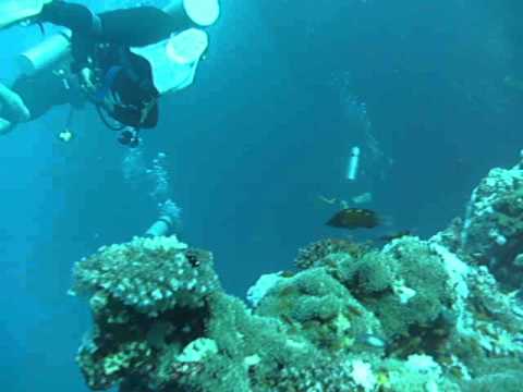 Diving Sharm El Naga
