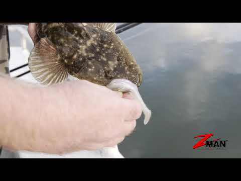 Soft Plastics 101- Chapter 4 - Colour Selection