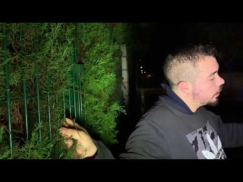 Ofroud Mc - Alma errante