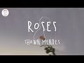 Shawn Mendes - Roses (Lyric Video)