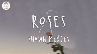 Shawn Mendes - Roses (Lyric Video)