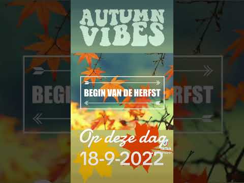 Lil Kleine Krantenwijk ft Boef  prod  Jack $hirak maandag 18 september 2023