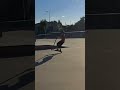 27m Manual In Skejtpark Řeporyje On Scooter Shorts Song Music Remix