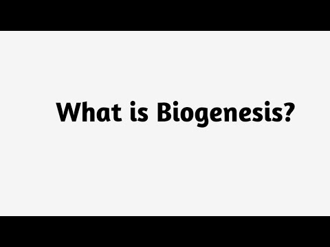 What is Biogenesis ?