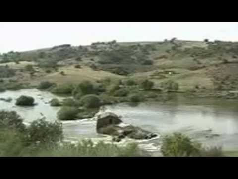 Monte   Aniversário Odete