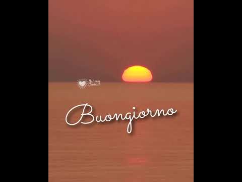 Buongiorno (Video di un sole che sorge su un mare piatto)