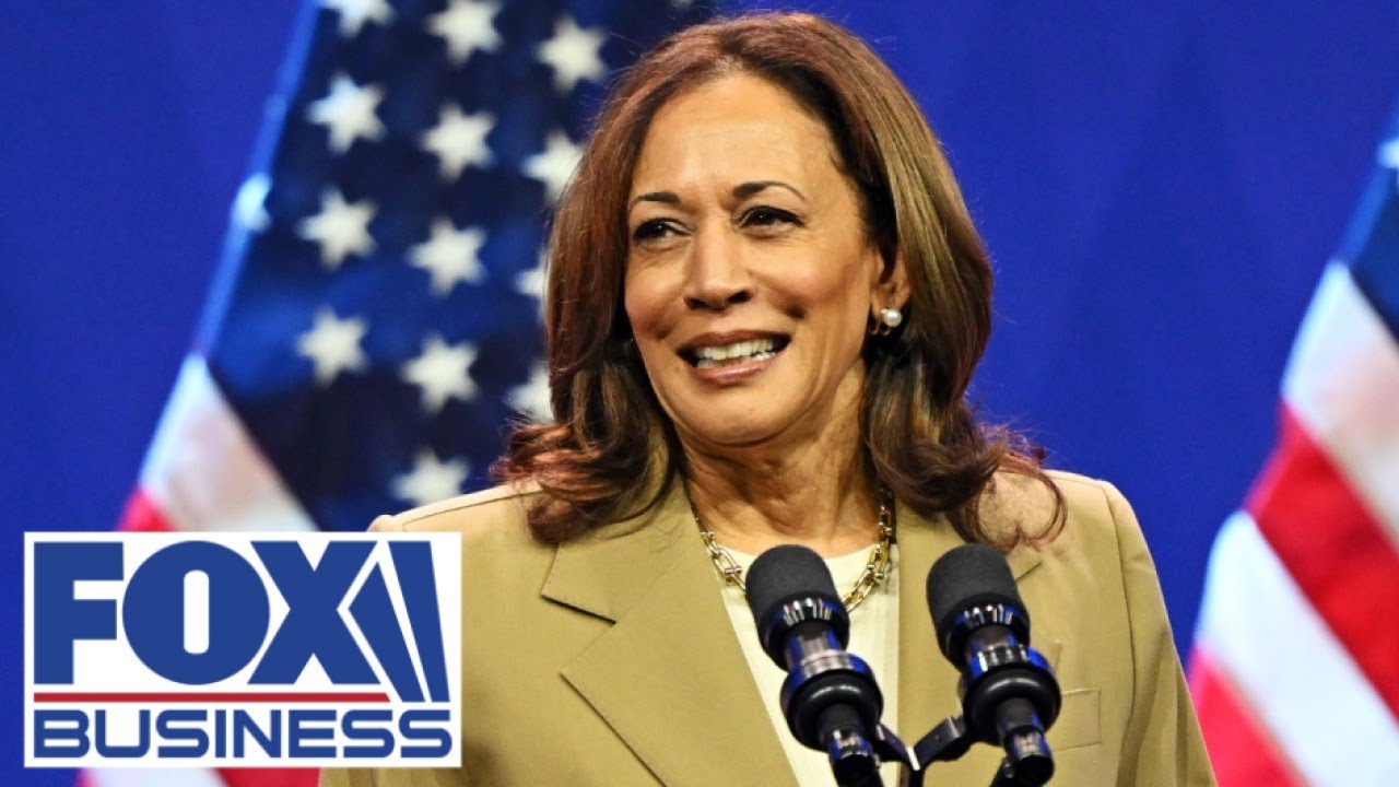 Democrats are throwing out this Hail Mary to save Kamala Harris' campaign, panelist warns