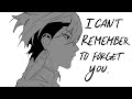 I Can T Remember To Forget You Janka Animatic