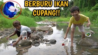 Download lagu TANTANGAN BERBURU IKAN CUPANG DI PINGGIR KALI DAPET CUPANG BLUERIM PART3 mp3