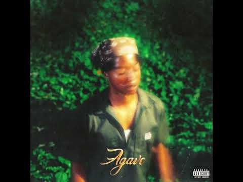 okay coleman! - Agave (Official Audio)