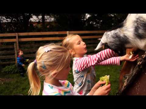 Video 19 aus  Ferienhof Andresen Nordsee