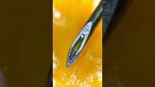Used syringe under the microscope is insane (real!)