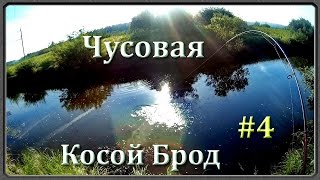 Когда начинать ловить щуку на чусовой сулем
