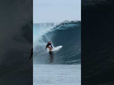 Kook Off The Leash - The Goofy Footers