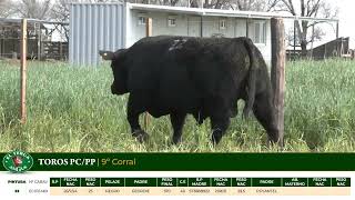 3 Toros PC/PP - Gregorio Aberasturi - Plaza Ganadera