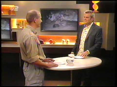 tv2godaftendk 2002