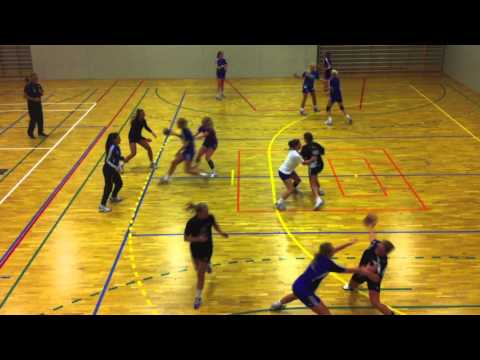 håndball landsserien