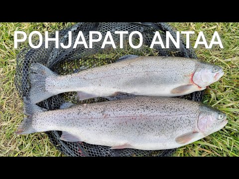 EKAA KERTAA KIINTIÖ TÄYTEEN + eka vaappukirre