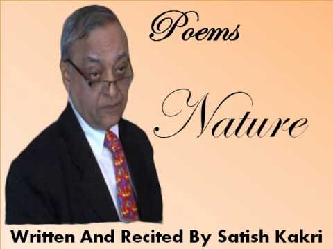 Nature by Satish Kakri - Nimble Foundation
