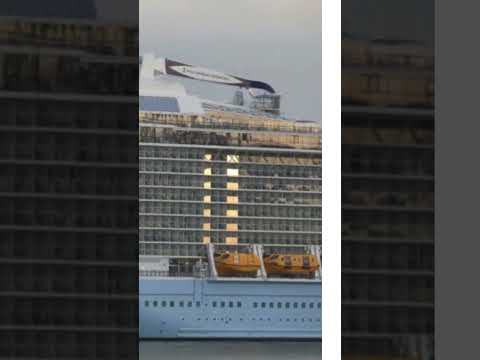 Thumbnail for Ovation Delayed 2 Days  #cruisenews #chilliescruises #whill_us #cruise #travel #ovationoftheseas