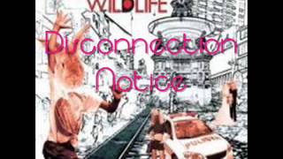 Pupil (Wildlife) -  Disconnection Notice