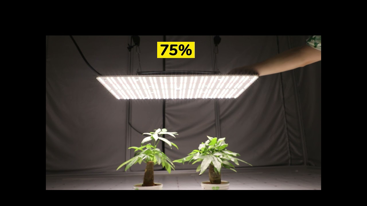 Indoor Grow Light, Samsung+OSRAM, LED Quantum Board, Distribution, Wholesale, Retail