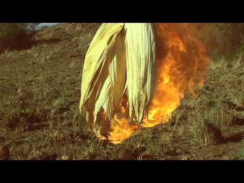 Siener van laaste dinge (2012)